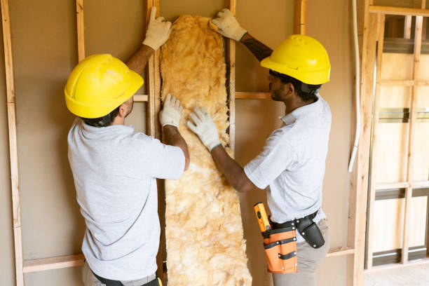 Best Commercial Insulation Services  in Martins Ferry, OH